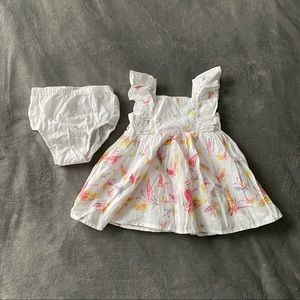 BabyGap Butterfly Sun Dress with Bloomers EUC Sz 3-6 Months